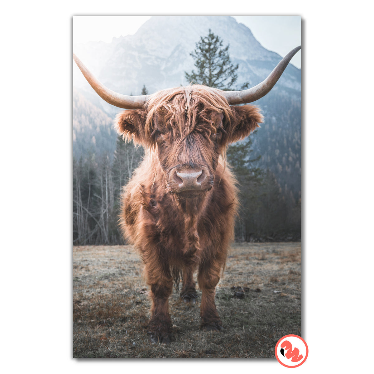 Highlander-Kuh 3  Dibond – Wallingo